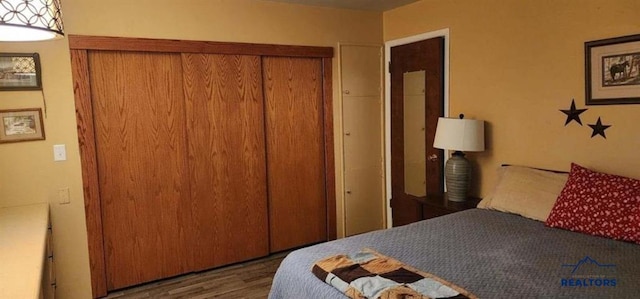 1001 E St, Edgemont, SD 57735 - bedroom featuring a closet and wood finished floors