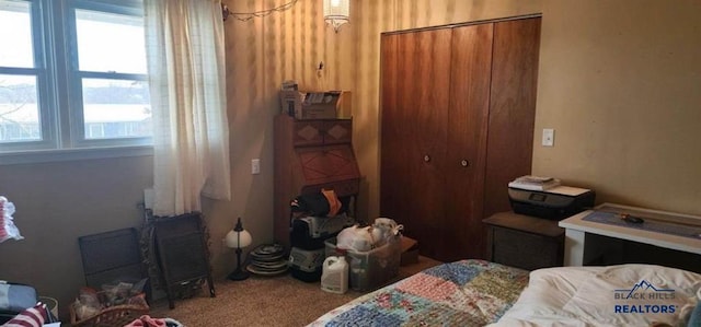 1001 E St, Edgemont, SD 57735 - bedroom featuring carpet floors and a closet