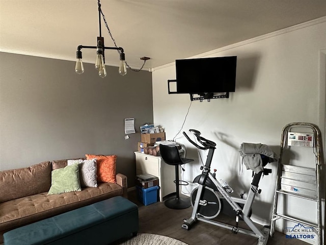 1001 E St, Edgemont, SD 57735 - exercise room with crown molding and wood finished floors