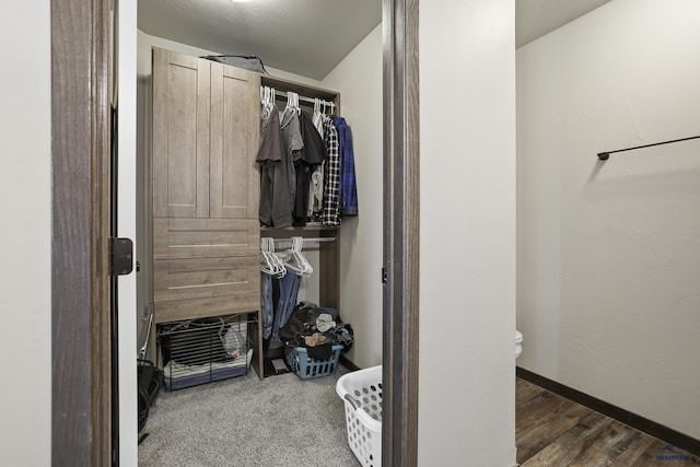 spacious closet featuring carpet floors and wood finished floors