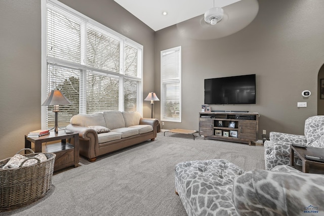 carpeted living area with arched walkways