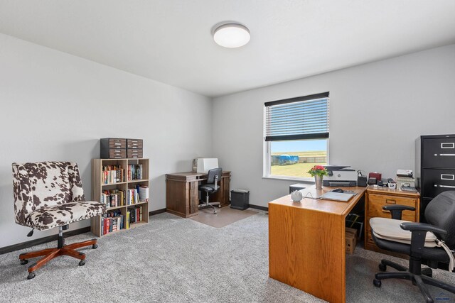 14113 Treasure Coach Rd, Piedmont, SD 57769 - carpeted home office with baseboards
