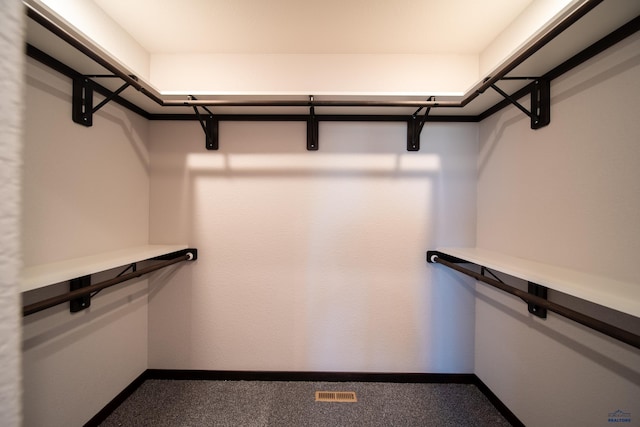 walk in closet featuring carpet and visible vents