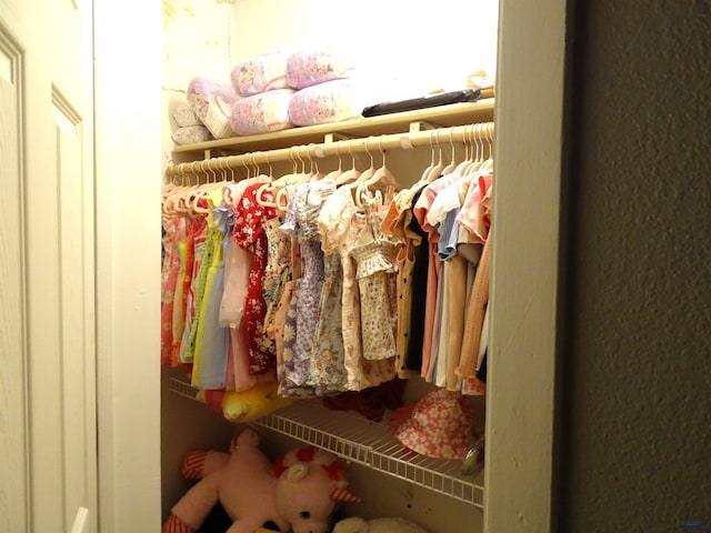 view of closet