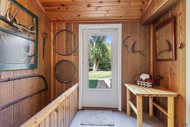 entryway featuring wood walls and wood ceiling