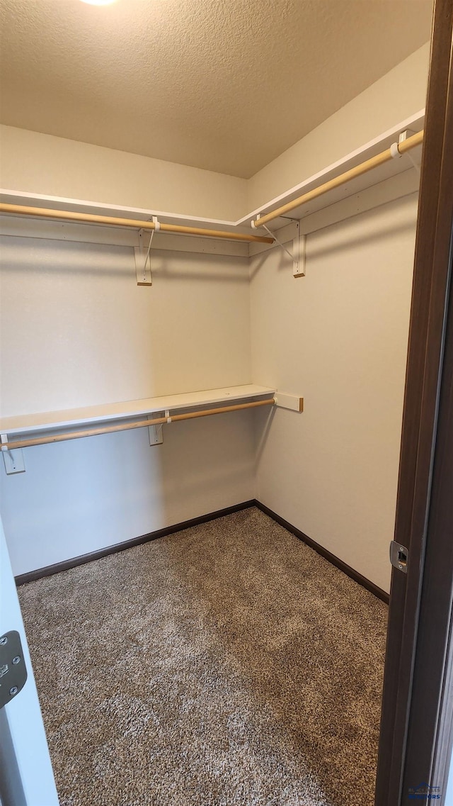 424 Yelner Dr Lot 38Blk 4, Box Elder, SD 57719 - walk in closet featuring carpet