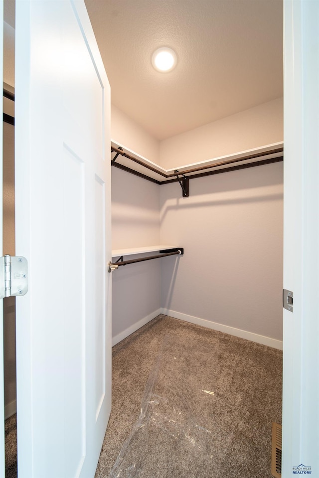 spacious closet with visible vents