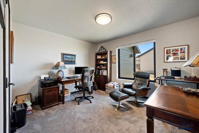 view of carpeted home office