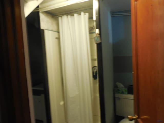 bathroom featuring a shower with shower curtain and toilet