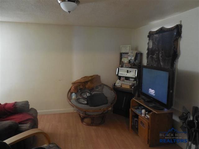710 Haines Ave, Rapid City, SD 57701 - living room with wood finished floors, baseboards, and a textured ceiling