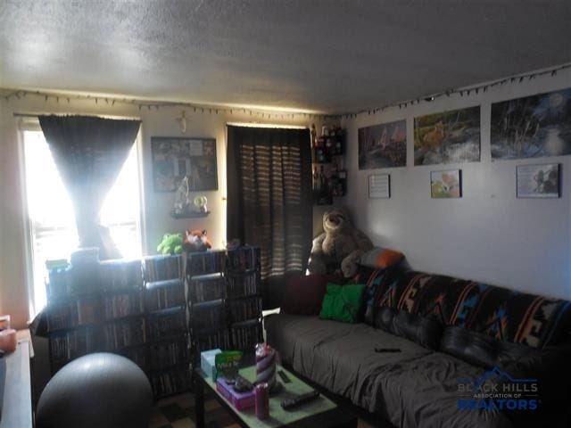 710 Haines Ave, Rapid City, SD 57701 - living room with a textured ceiling