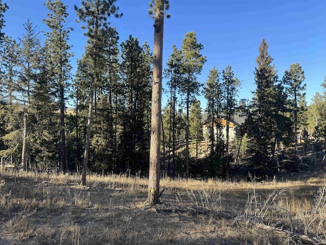 LOT7 Dancing Sky Ln Powderhouse Pass, Unit Powderhouse Pass, Lead SD, 57754 land for sale