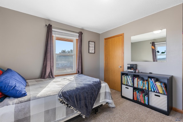 bedroom featuring multiple windows and carpet