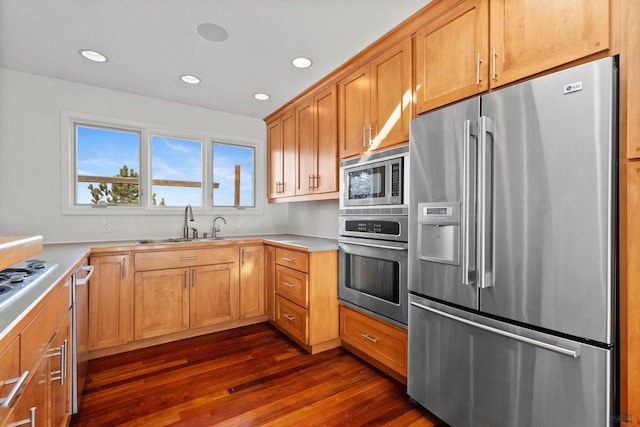 kitchen with dark wood-type flooring, a sink, recessed lighting, appliances with stainless steel finishes, and light countertops