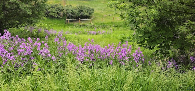 view of landscape