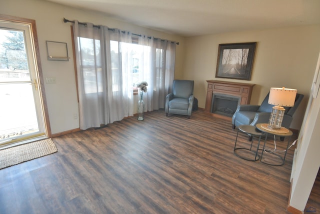 sitting room with wood finished floors and a fireplace