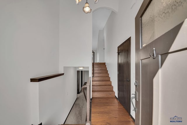 staircase featuring wood finished floors