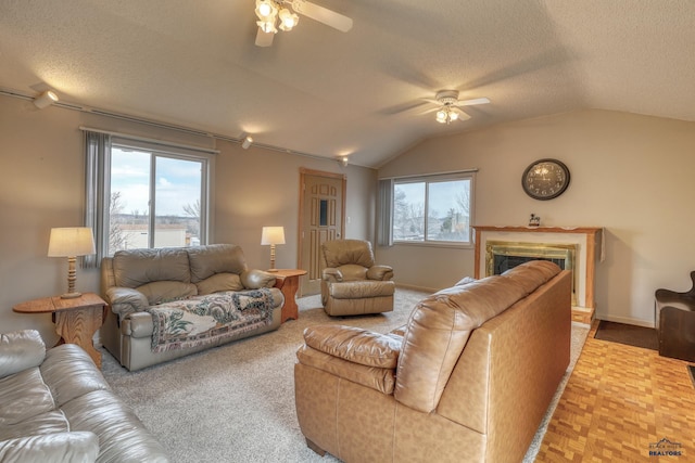 living area featuring a healthy amount of sunlight, a textured ceiling, and vaulted ceiling