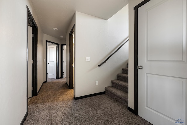 stairway featuring baseboards and carpet floors