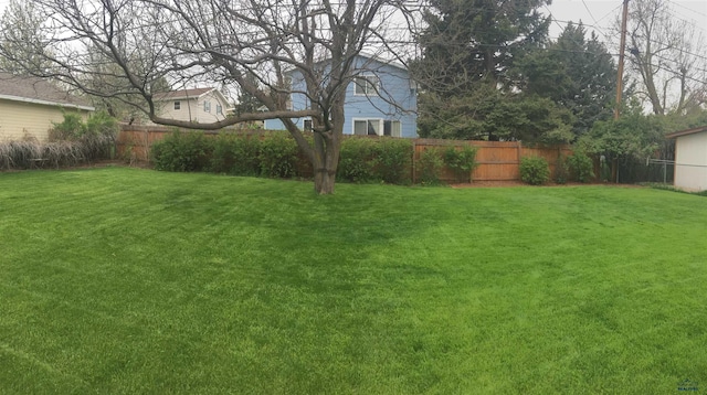 view of yard featuring fence private yard