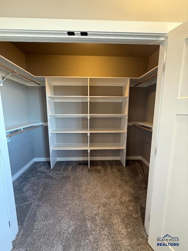 walk in closet with dark carpet