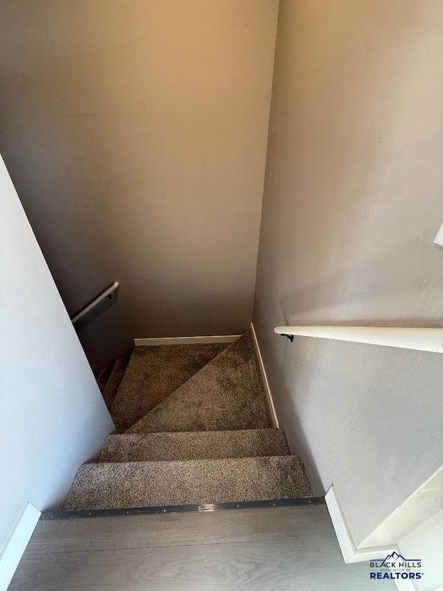 stairway featuring carpet