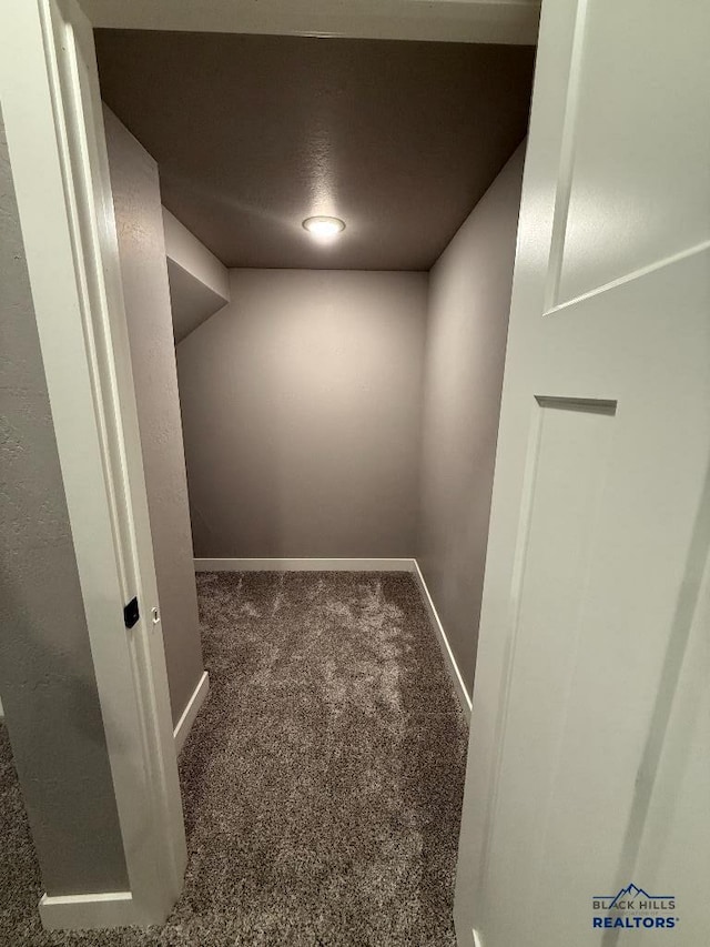 walk in closet with carpet floors