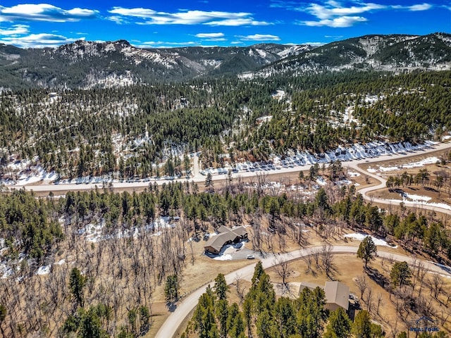 snowy aerial view featuring a mountain view