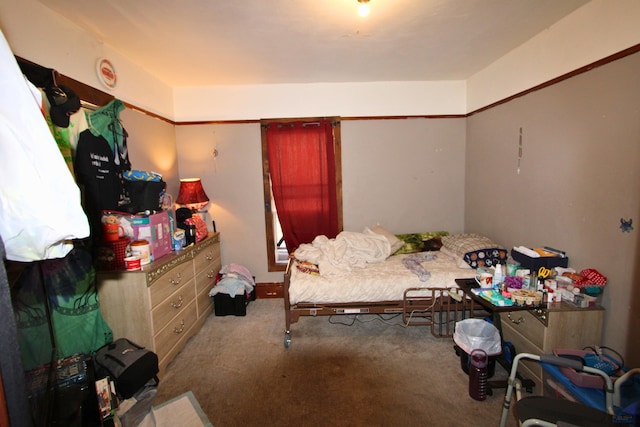920 Haines Ave, Rapid City, SD 57701 - bedroom featuring carpet floors