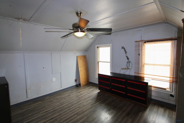920 Haines Ave, Rapid City, SD 57701 - additional living space with ceiling fan, wood finished floors, and vaulted ceiling