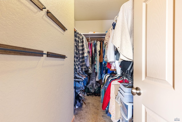 spacious closet with carpet