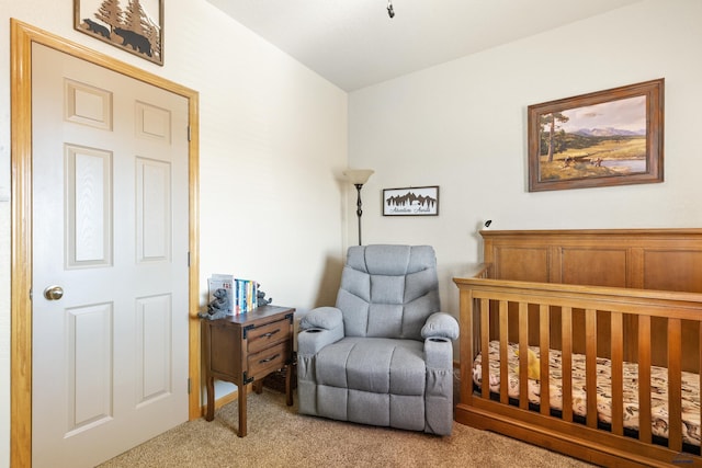 bedroom featuring carpet