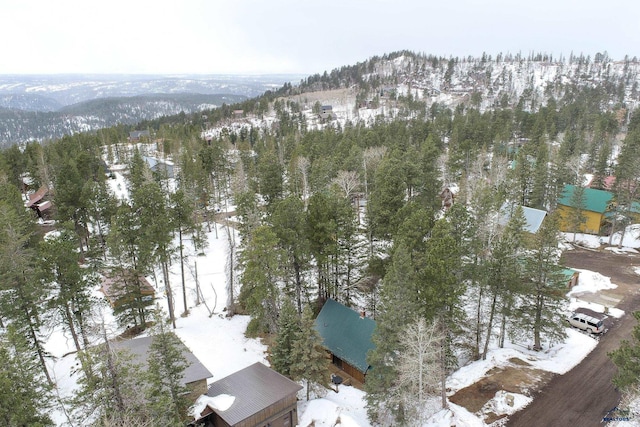 snowy aerial view featuring a mountain view and a view of trees