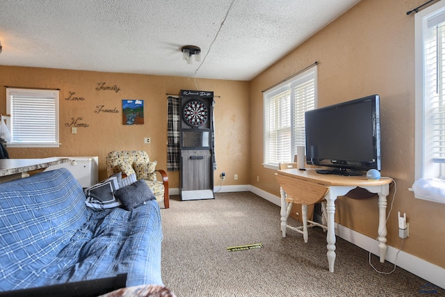 living area featuring baseboards, carpet, a textured wall, and a textured ceiling
