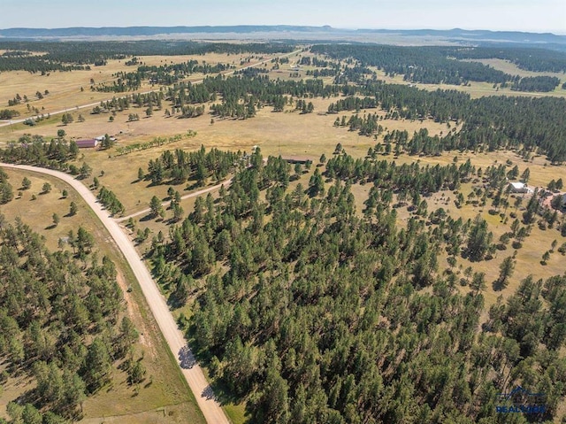 bird's eye view featuring a mountain view and a rural view