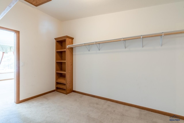 walk in closet featuring light colored carpet