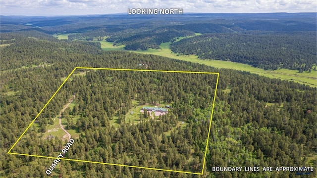 birds eye view of property featuring a wooded view
