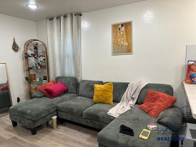 living area with wood finished floors