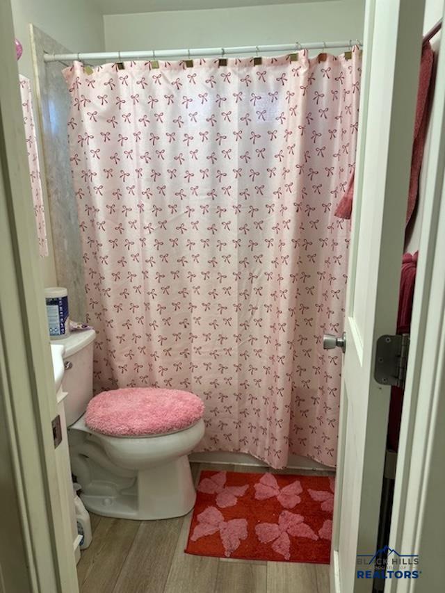bathroom with wood finished floors, toilet, a shower with shower curtain, and vanity