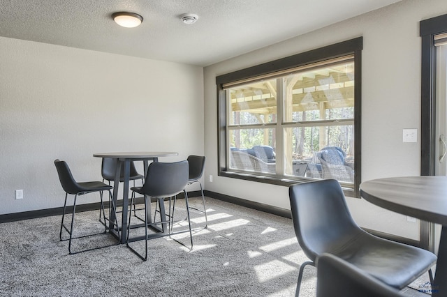 21260 Ridgewood Trl, Lead, SD 57754 - dining room with baseboards and a textured ceiling