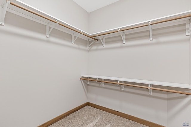 1230 Pinnacle Ct, Rapid City, SD 57701 - walk in closet with carpet