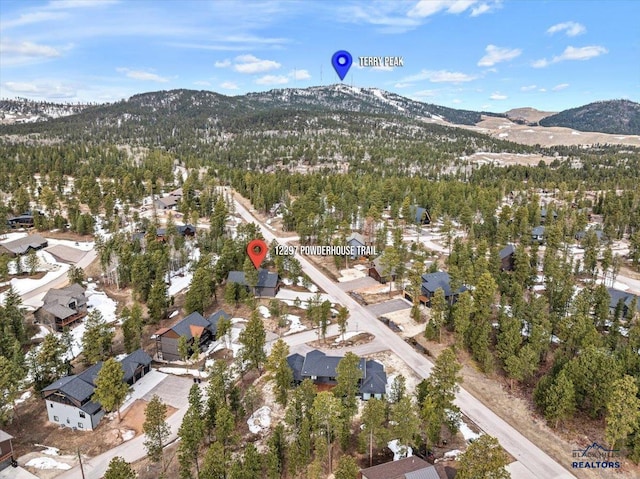 aerial view with a mountain view