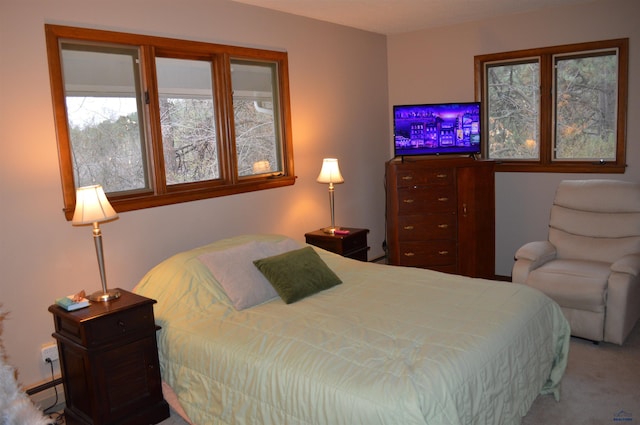 1521 Forest Ct, Rapid City, SD 57701 - carpeted bedroom featuring a baseboard radiator