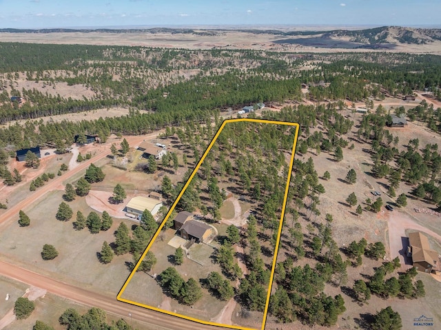 24354 Rushmore Ranch Rd, Keystone, SD 57751 - bird's eye view
