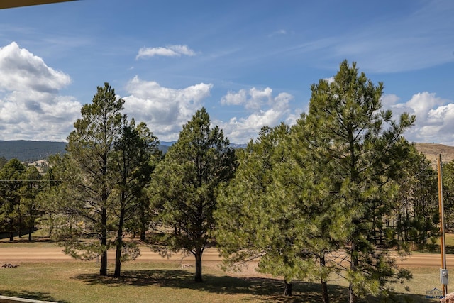 24354 Rushmore Ranch Rd, Keystone, SD 57751 - exterior space
