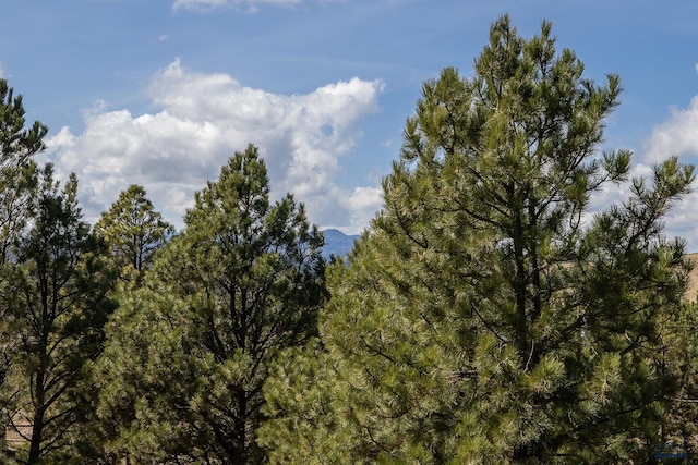 24354 Rushmore Ranch Rd, Keystone, SD 57751 - view of landscape with a forest view