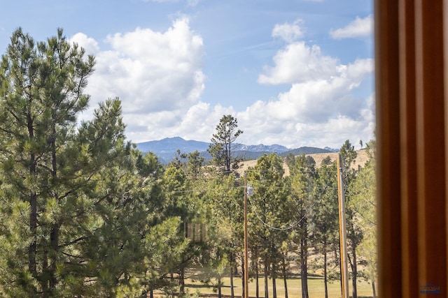 24354 Rushmore Ranch Rd, Keystone, SD 57751 - mountain view