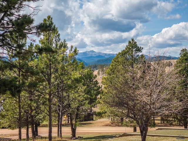 24354 Rushmore Ranch Rd, Keystone, SD 57751 - view of mountain feature