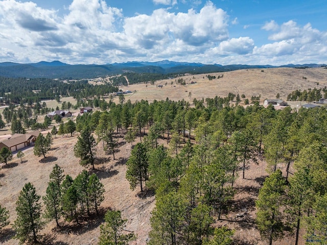 24354 Rushmore Ranch Rd, Keystone, SD 57751 - mountain view