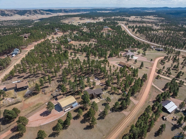 24354 Rushmore Ranch Rd, Keystone, SD 57751 - drone / aerial view